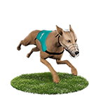 富豪娛樂城娛樂城白金賽狗